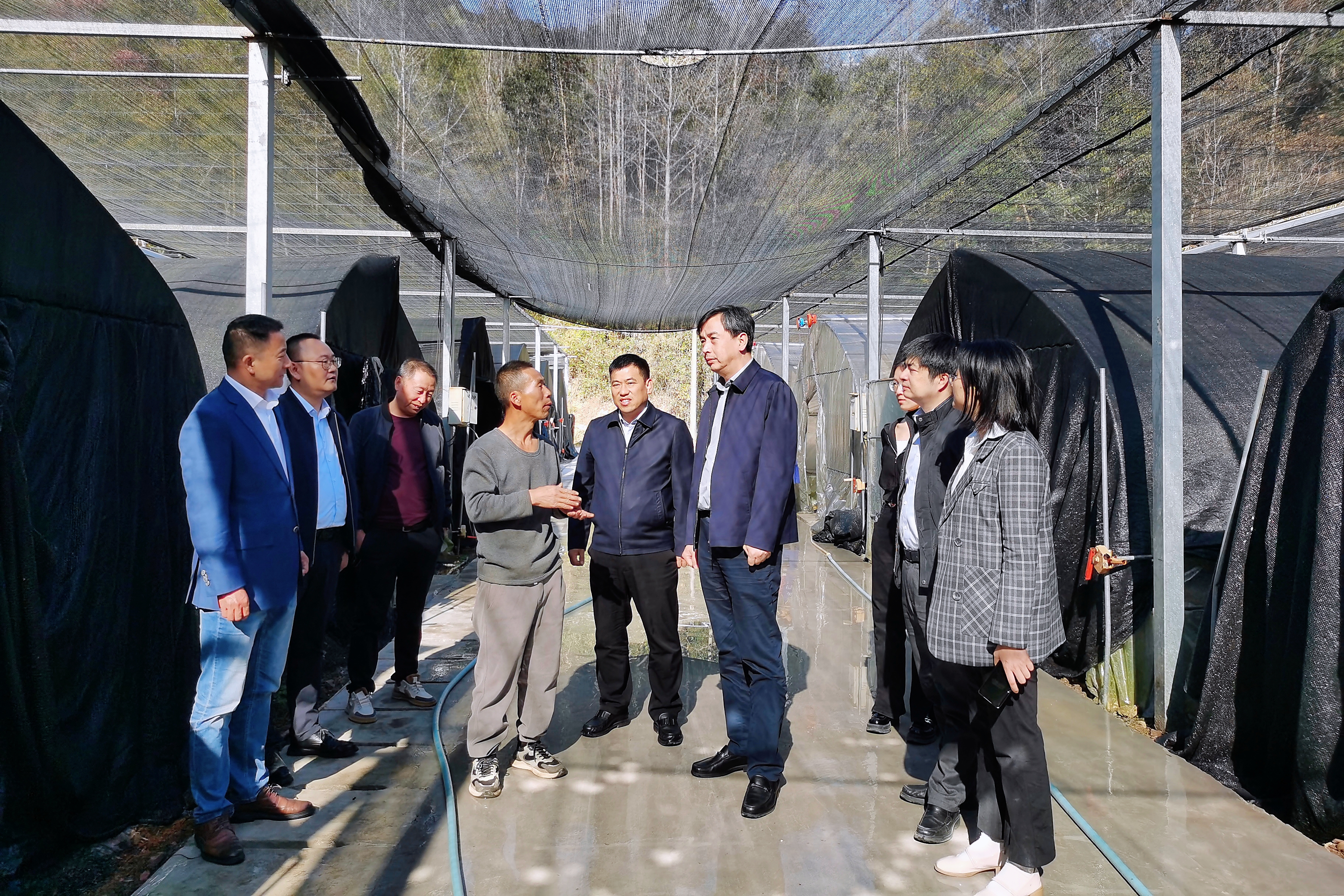 图片1.jpeg 图片1.jpeg